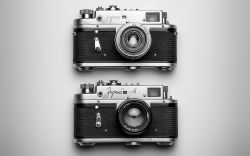 Two similar cameras