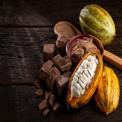 Cacao pods, cocoa powder and chocolate