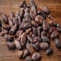 Roasted Cacao Beans